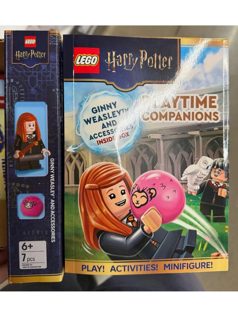 LEGO Harry Potter Playtime Companions Ginny Weasley and Accessories Book Set